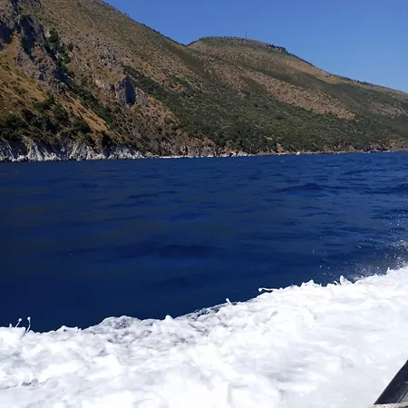 Daire House Scario